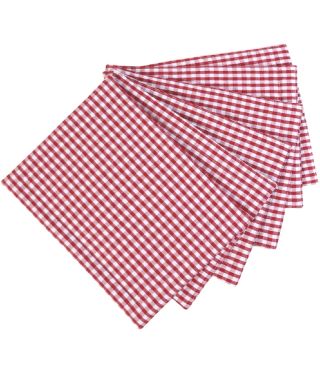 100% Cotton Red Gingham Placemat - SET OF 6 