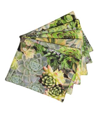 Botanica  - Succulent Green Placemats Pack of 6