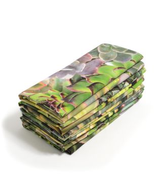 Botanica  - Succulent Green Napkins Pack of 6